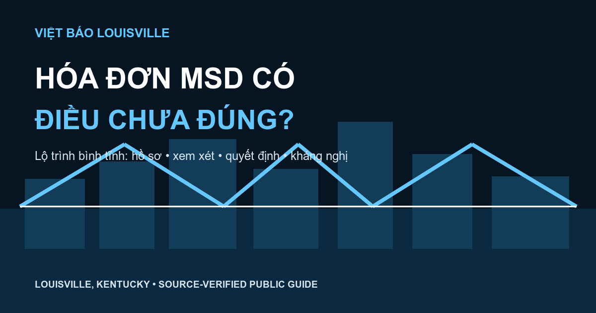 Nhận Hóa Đơn MSD Có Điều Chưa Đúng? Lộ Trình Bình Tĩnh Bằng Tiếng Việt